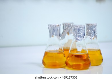 Trypticase Images, Stock Photos & Vectors | Shutterstock