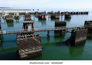 Tsawwassen Ferry Terminal In British Columbia, Canada