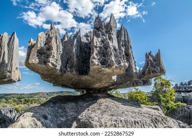 Tsingy de Bemaraha. Grey stones sharp as needles with blue sky in the background.  Reserva natural de Tsingy de Bemaraha, Madagascar. National park Tsingy. Bekopaka. UNESCO. 