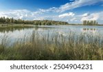 Tsnyanskoe Reservoir. City recreation area. Minsk. Republic of Belarus.