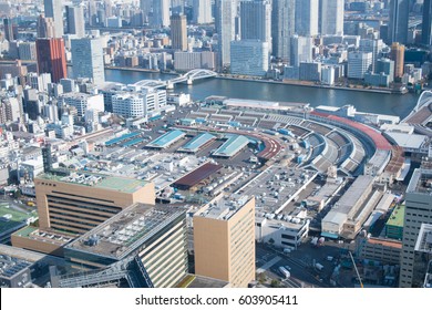 Tsukiji Fish Market