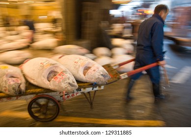 Tsukiji Fish Market In Tokyo Japan