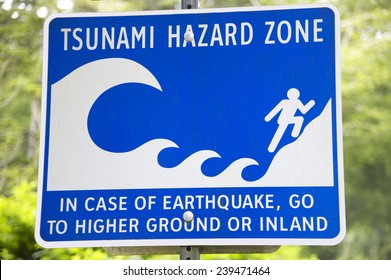 4,428 Tsunami warning Images, Stock Photos & Vectors | Shutterstock