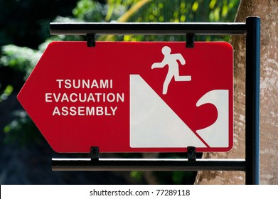 Tsunami Warning Sign At Indonesia