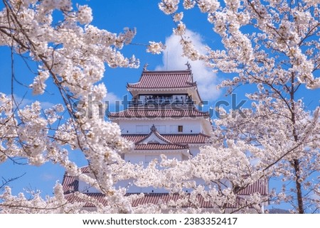 Tsuruga Castle in spring, Fukushima Prefecture
