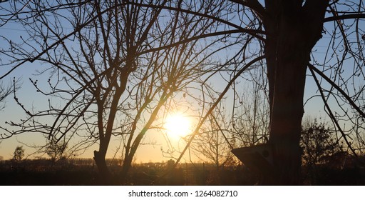 Tt seems that the sky is trapped behind the branches - Shutterstock ID 1264082710