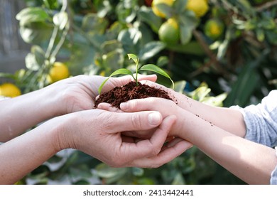 Tu Bishvat Day and the global concept of environmental protection. Adult and child are holding green growing seedling growing from soil. CSR goes green - Powered by Shutterstock