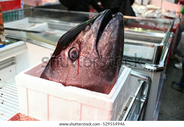 Tuan Fish\
Head In Japan Osaka Kuromon Icihba\
Market