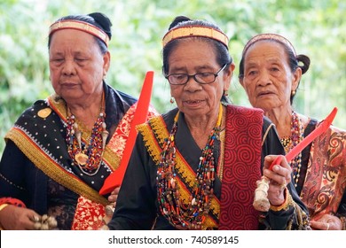 Tuaran Sabah Malaysia Oct 21 2017 Stock Photo 740589145 | Shutterstock