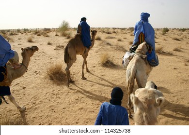 Tuareg Nomads Of The Berber Tribe Ride Camels In The Sahara Desert Of Mali, Near Timbuktu