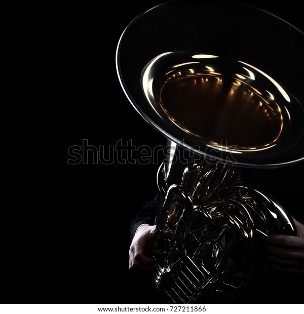 Tuba brass instrument. Wind music instrument\
Orchestra bass horn\
isolated.