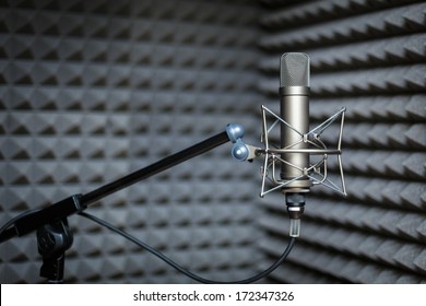 Tube Microphone, Professional Microphone, Recording Studio