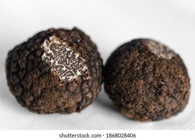 Tuber Melanosporum, Called The Black Truffle, Périgord Truffle Or French Black Truffle, Is A Species Of Truffle Native To Southern Europe. It Is One Of The Most Expensive Edible Mushrooms In The World