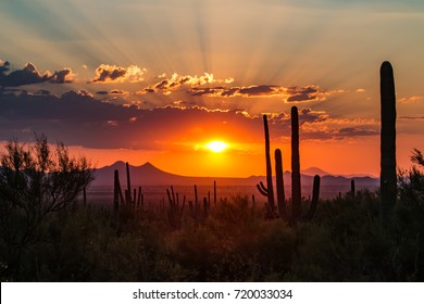 Tucson, Arizona