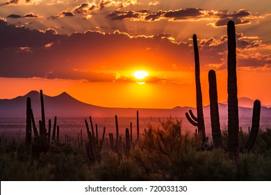 Tucson, Arizona - Shutterstock ID 720033130