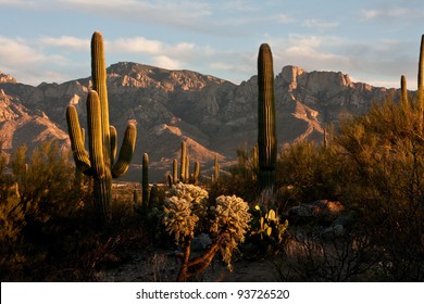 Tucson Arizona Catalina Mountains