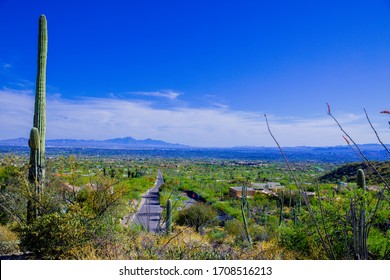 Tucson Arizona Pontatoc Ridge Trail in Spring