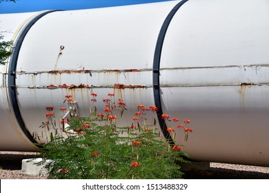 Tucson, Arizona / USA: Circa September 2019
Pima Air & Space Museum
Space Shuttle Solid Rocket Booster Provided The Majority Of The Space Shuttle's Thrust During The First Two Minutes Of Flight