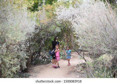 Tucson Botanical Gardens Images Stock Photos Vectors Shutterstock
