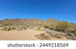 Tucson Mountain Park AZ Sonora Desert Landscape