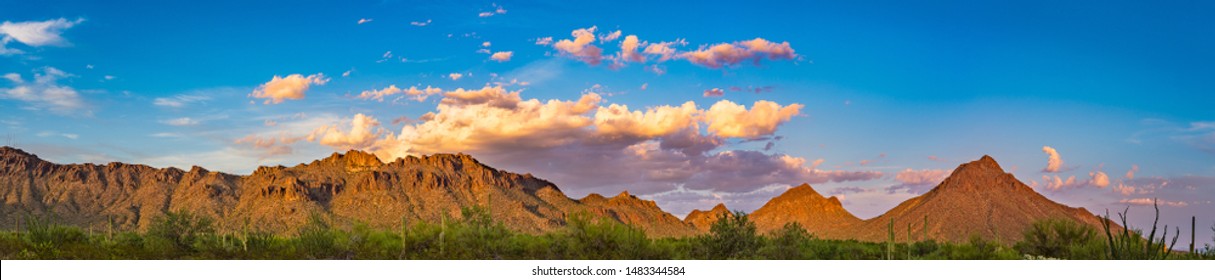 Tucson Mountain Park With Saguaro Cactus Panorama