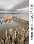 Tufa formations, mono lake, california, united states of america, north america