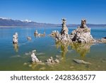 Tufa spires and tower formations of calcium carbonate, Mono Lake, South Tufa Reserve, Mono Basin Scenic Area, Lee Vining, Inyo National Forest Scenic Area, California, United States of America, USA 