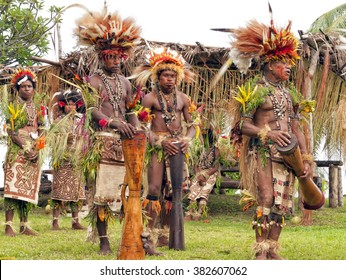 Tufi,Papua New Guinea - December 04, 2008: Papuan Tribal Women And Men Dressed In Traditional Costumes, Wearing Bird Of Paradise Feathers, Seashell Jewelry, During Traditional Ritual Village Dance