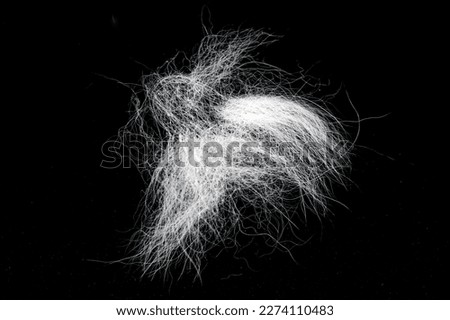 Tuft of white fur, heap gray-haired animal hair isolated on black, top view
