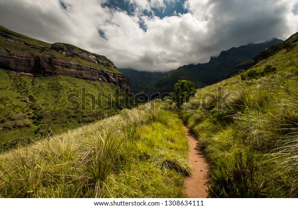 The Tugela Gorge hiking trail leading along a\
brightly lit hillside towards the Amphitheatre Mountain in the\
Drakensberg, South Africa