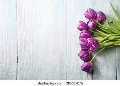 tulip