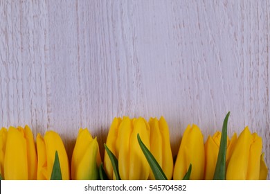 Tulip