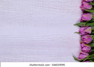 Tulip