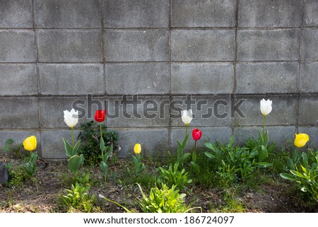 Similar – suburban idyll Garden