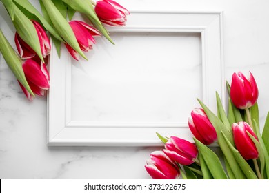 Tulip With Blank Picture Frame On White Marble Background