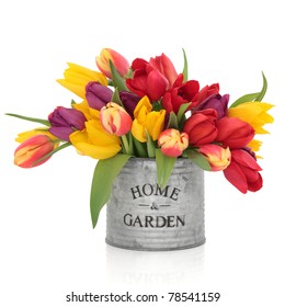 Tulip Flower Arrangement In Rainbow Colours In An Old Aluminum Tin Can With Home And Garden In Words Isolated Over White Background.