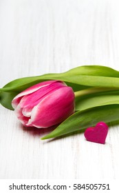 Tulip Flower Small Heart On White Wooden Background, Copy Space