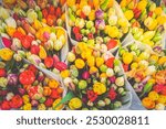 Tulip flowers, fresh flowers for sale, from Netherlands for sale, Amsterdam floral market