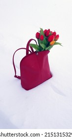 Tulip flowers in a red backpack standing in the snow. Spring bouquet.