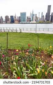 Tulip Garden At Gantry Plaza State Park In Long Island City Queens New York With The Manhattan Skyline During Spring