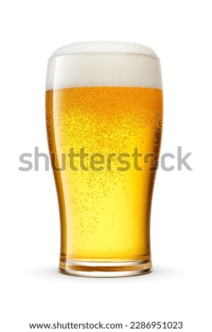 Tulip pint glass of fresh delicious golden-colored beer with cap of foam isolated on white background.