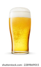 Tulip pint glass of fresh frothy yellow beer with cap of foam isolated on white background.