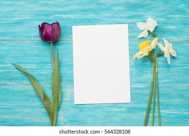 tulip, primulas, paper card, turquoise table