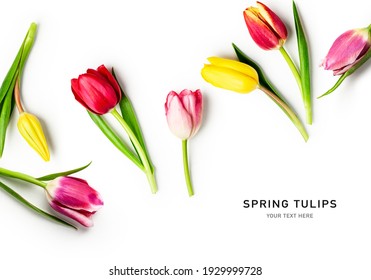 Tulip spring flowers with leaves creative layout isolated on white background. Floral composition with beautiful colorful tulips. Easter flowers concept. Flat lay, design element