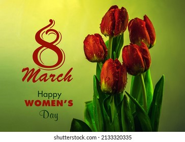 Tulip, tulips bouquet. Present for March 8, International Women's Day. Holiday decor with flowers. Bouquet with colorful tulips. Red tulip. Holiday floral decor. Spring tulips. Happy women's day.