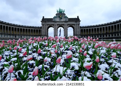 Tulips are covered with snow in the Cinquantenaire Park in Brussels, Belgium, April 1, 2022.