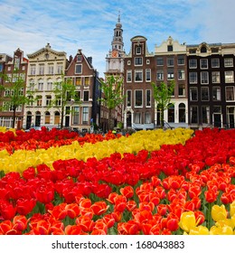 tulips and  facades  of old houses in Amsterdam, Netherlands