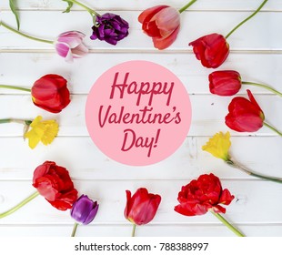 Tulips With Happy Valentines Day Text.Greeting Card