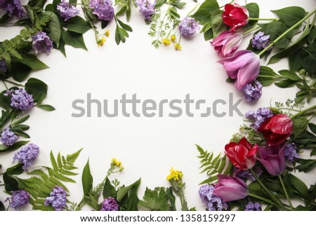 Similar – Image, Stock Photo Summer flowers frame on green