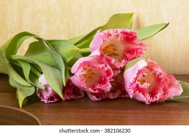 Tulips on the table 